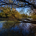 Figgate Loch